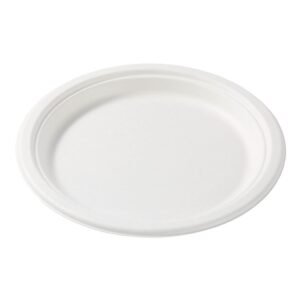 10 inch disc